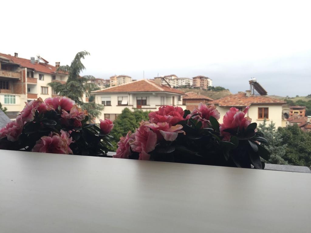 Bora Apartment 桑丹斯基 客房 照片
